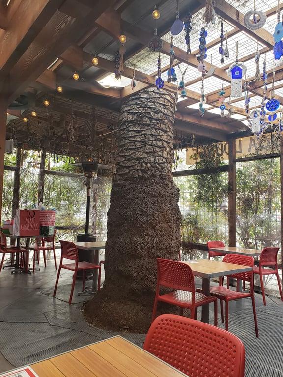 Pasha Mediterranean & Hookah Lounge fotoğraf 2