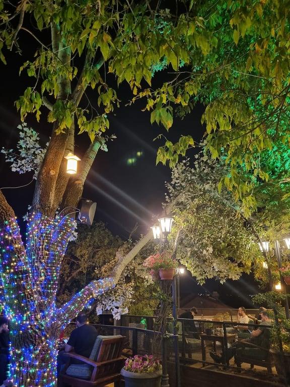 Sheesha Garden Çamlıca fotoğraf 9
