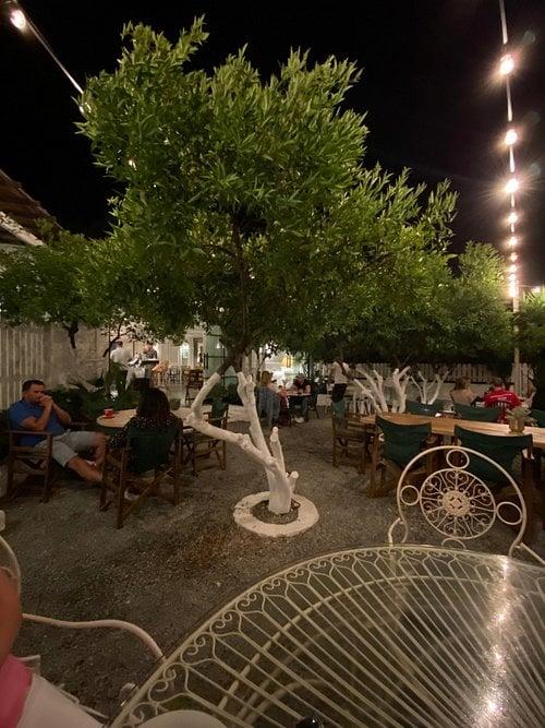 Vamos Bodrum fotoğraf 2
