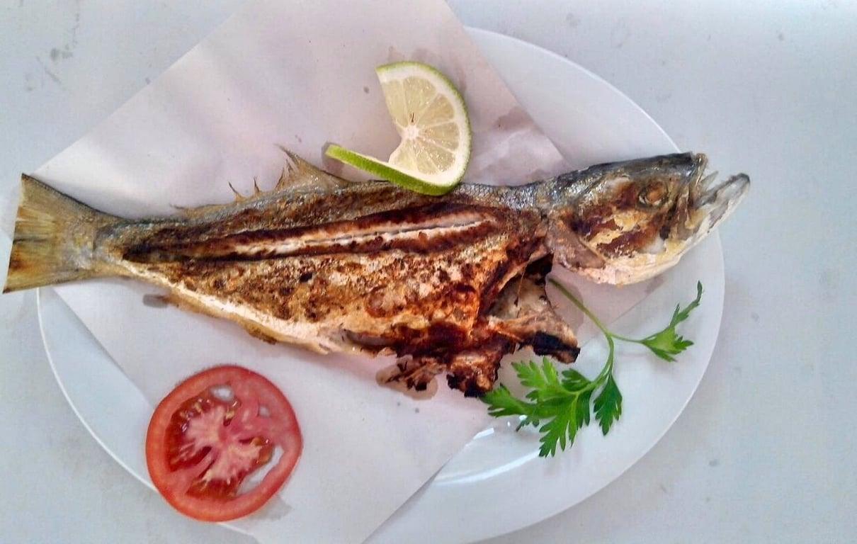 Pozcu Balıkçılık fotoğraf 7