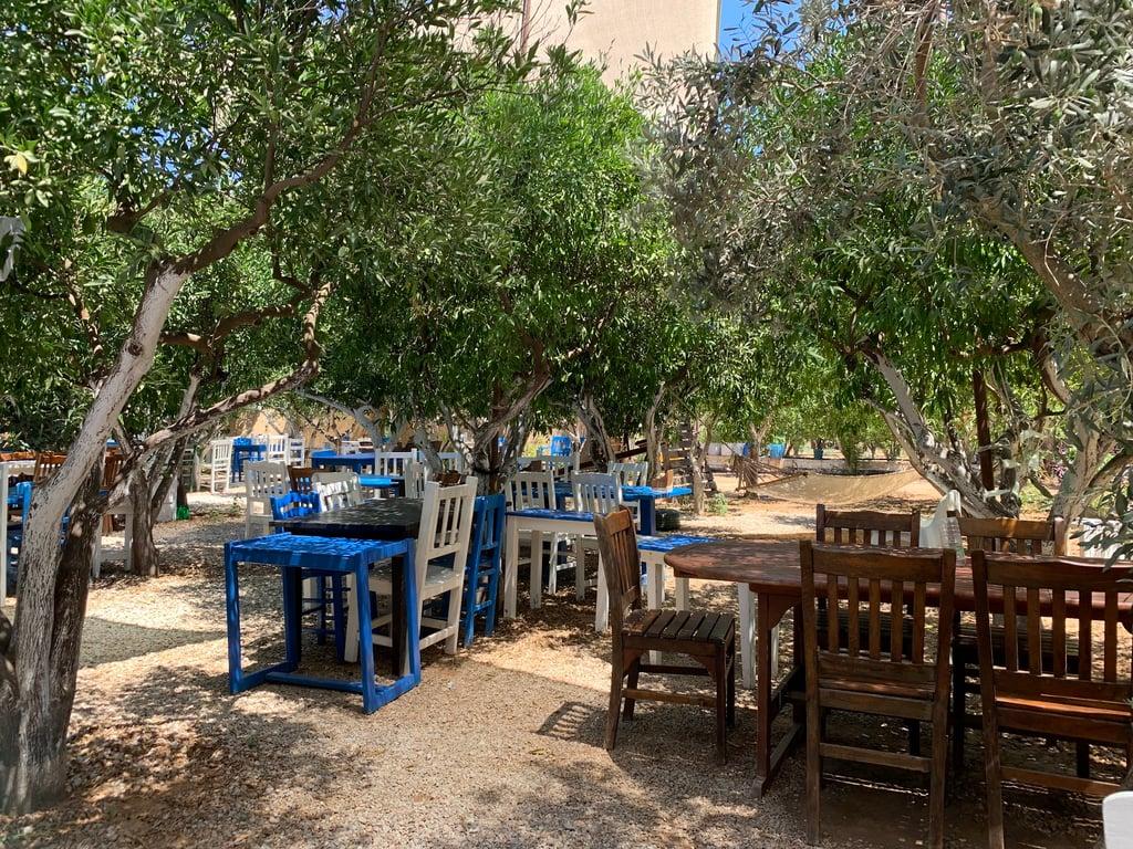 Kuytu Bahçe Bodrum fotoğraf 13