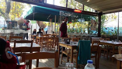 Balık Keyfi fotoğraf 2