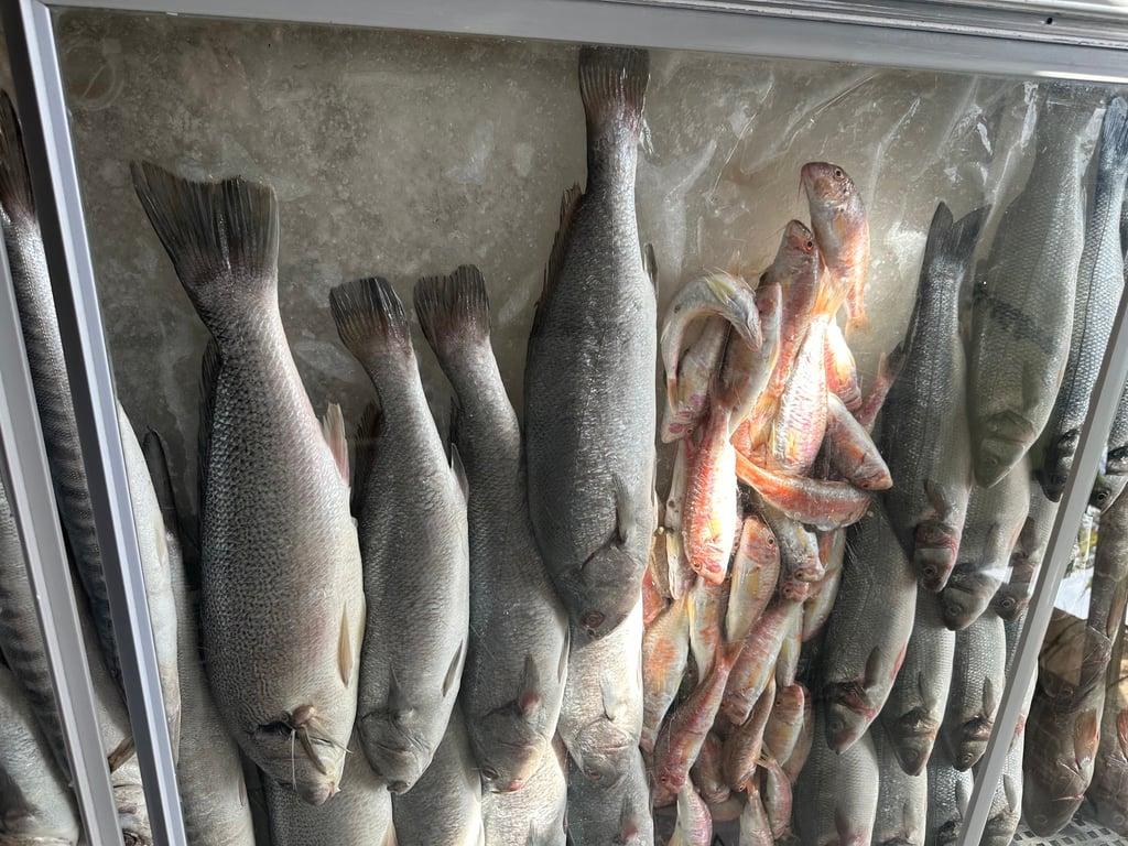 Sahil Balık Restaurant fotoğraf 5