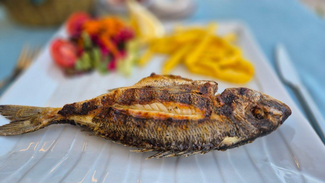 İSKELE RESTAURANT MARİNA fotoğraf 6