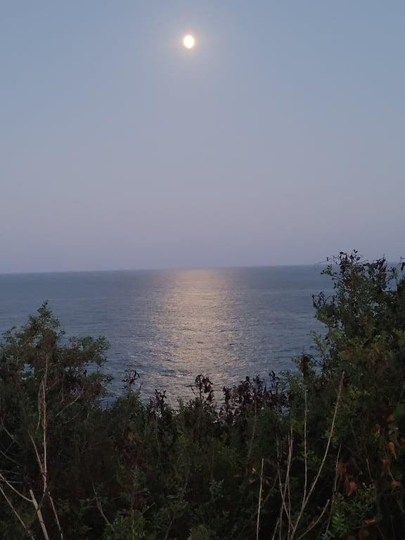 Antalya Balıkevi fotoğraf 12