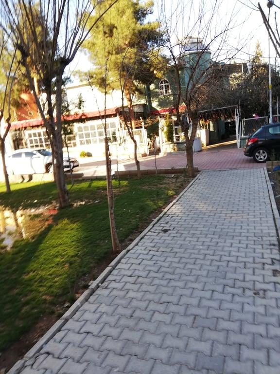Firuze Kahve fotoğraf 10