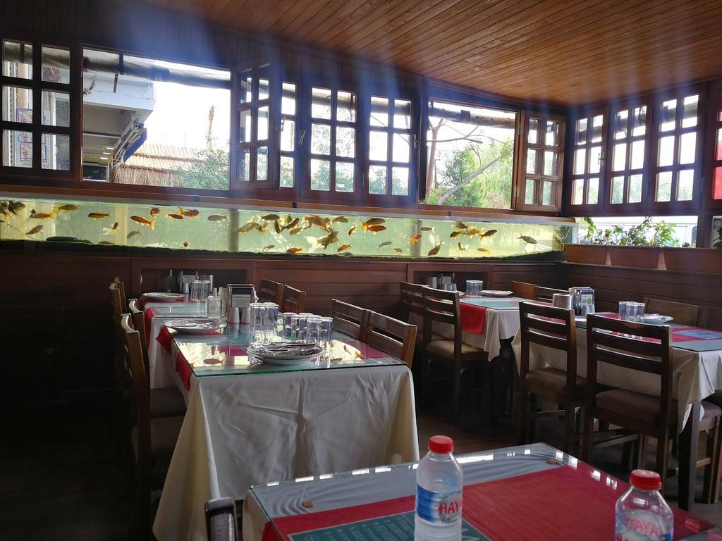 Gandi'nin Yeri fotoğraf 11