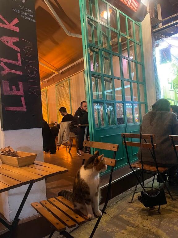 LEYLAK RESTORAN fotoğraf 4