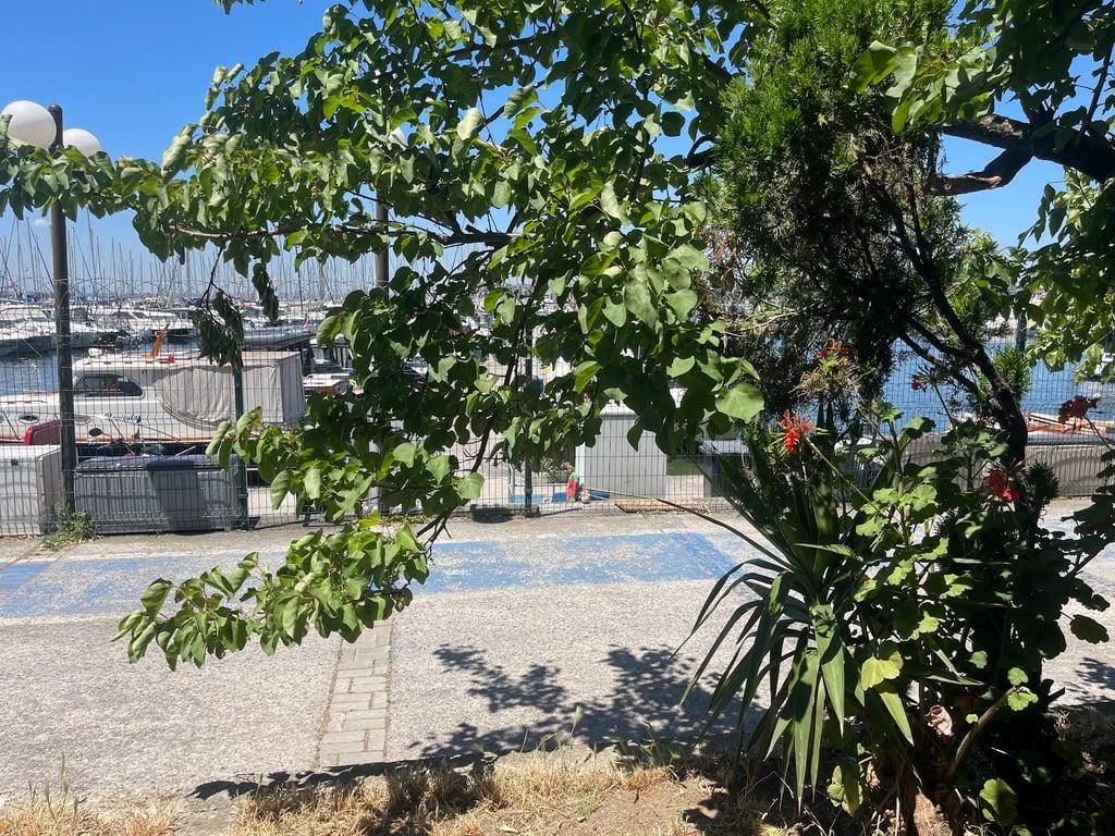 FORCE KALAMIŞ fotoğraf 6