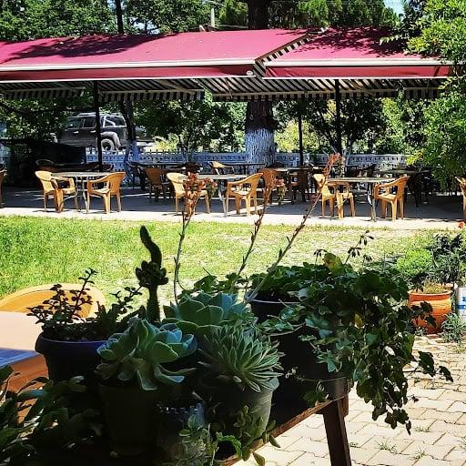 Çamlık Çine Köftesi fotoğraf 3