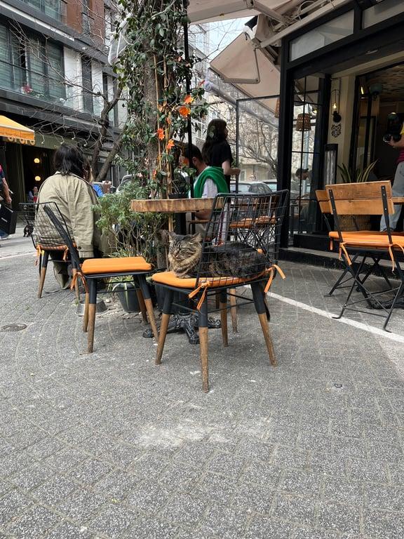 Bykush Sokak - BURGER , Coffee & Dessert | Kadıköy Moda Kahve & Cafe fotoğraf 10