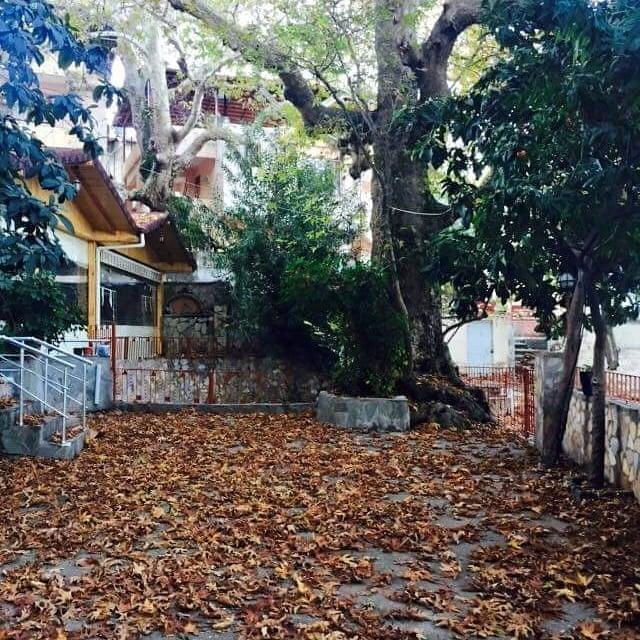 HAMMUŞUN YERİ YAĞMUR KAHVALTI SALONU fotoğraf 6