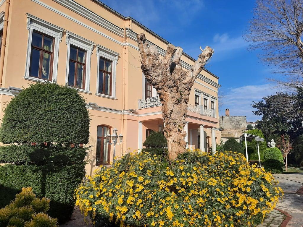 İstanbul Üniversitesi Sosyal Tesisleri Baltalimanı fotoğraf 10