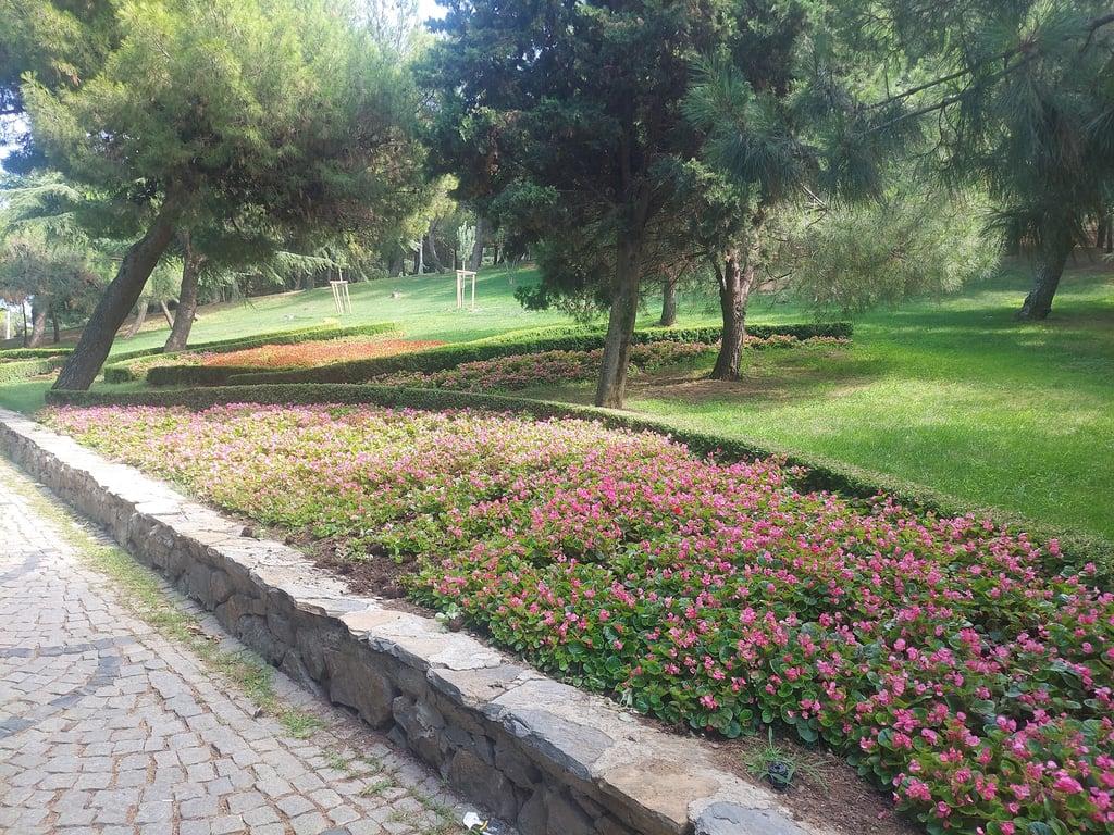 Gözdağı Sosyal Tesisleri fotoğraf 16