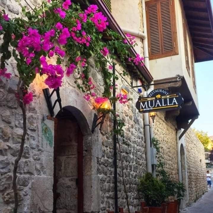 Mualla Antakya fotoğraf 5