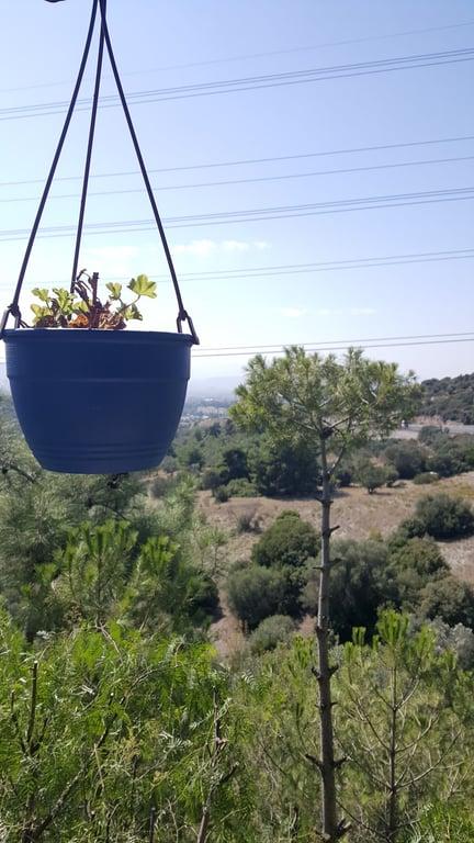 Vebaş fotoğraf 18