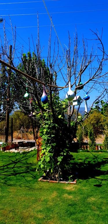 Doğal Annem Kahvaltı Evi fotoğraf 16