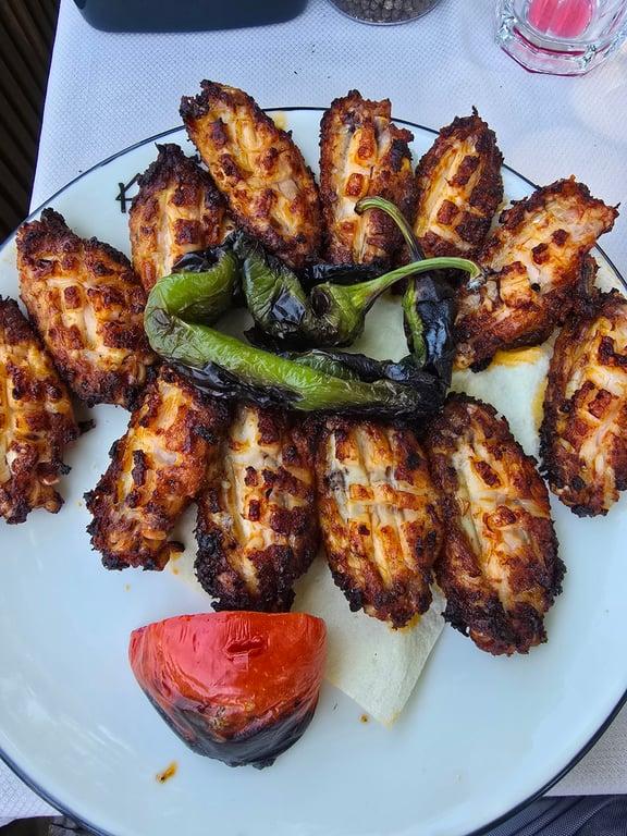 Kanatçı Ali Asker fotoğraf 3