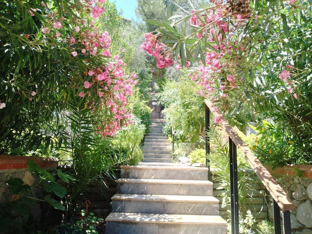 Pinoliva Garden Restaurant fotoğraf 22