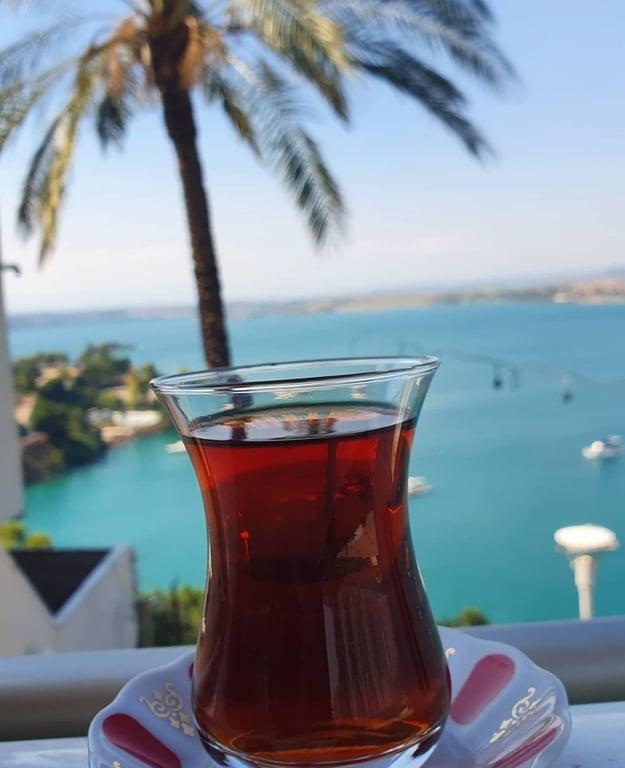 Emirgan Sütiş Park Zirve fotoğraf 7
