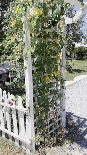 Safiye Kahvaltı Evi fotoğraf 7