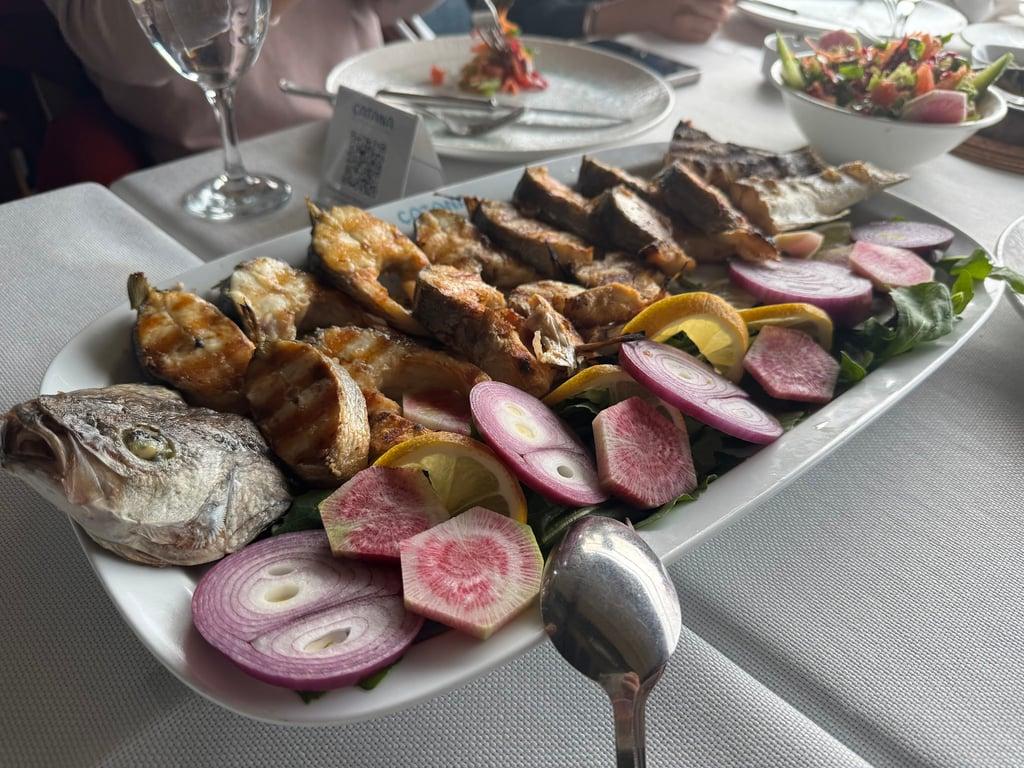 Çatana Balık fotoğraf 4