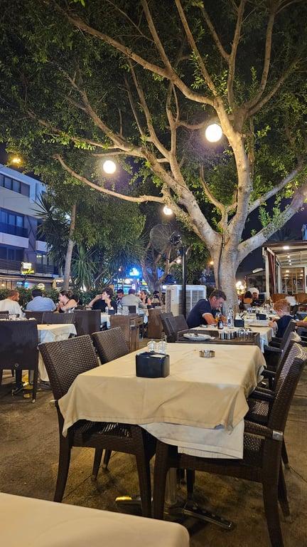 Kanatçı Ali Asker fotoğraf 4