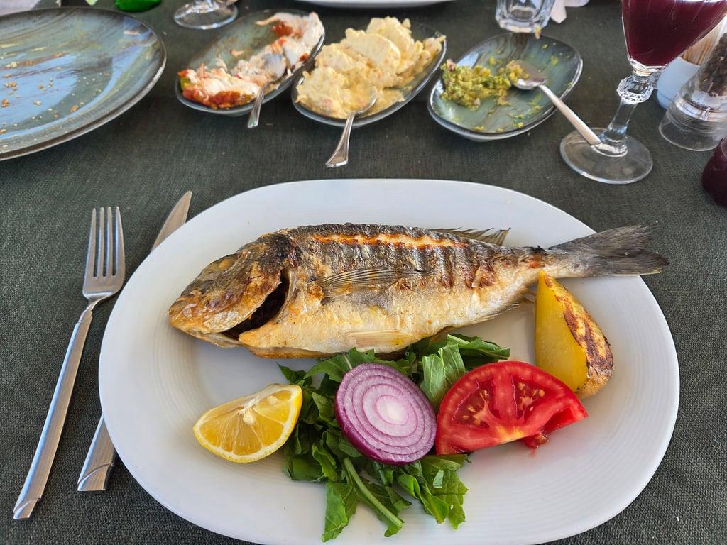 Kıyı Balık Restaurant fotoğraf 2