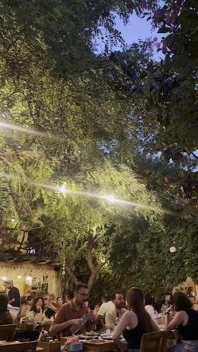 Salkım Söğüt Alacatı fotoğraf 8