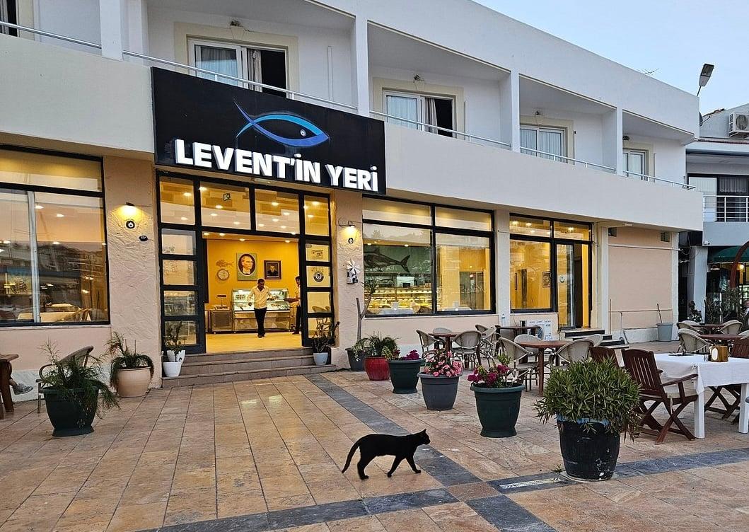 Levent'in Yeri fotoğraf 3
