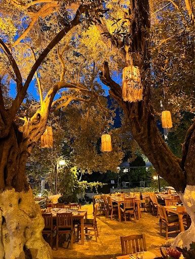 Ehlikeyf Meyhane Kaş fotoğraf 7