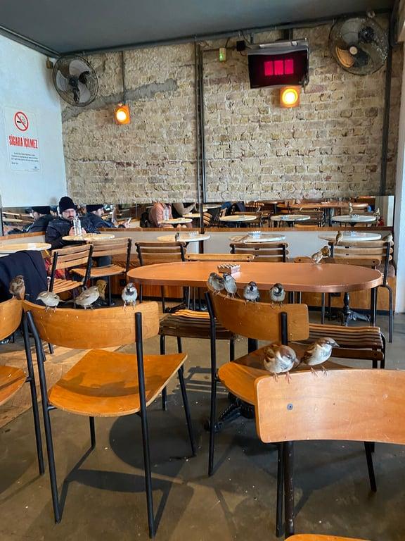 Espressolab Bebek fotoğraf 9
