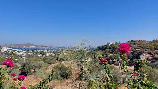 Zay Yalıkavak fotoğraf 6