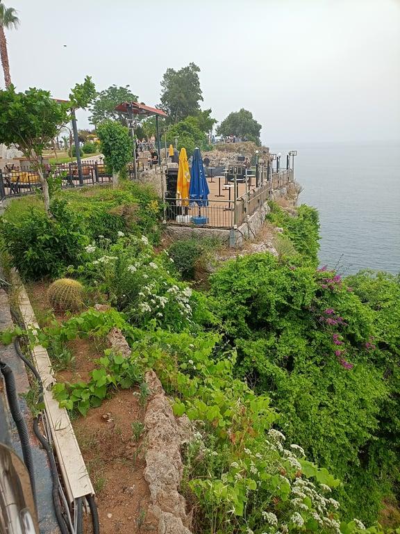 Edalya Cafe & Restaurant fotoğraf 10