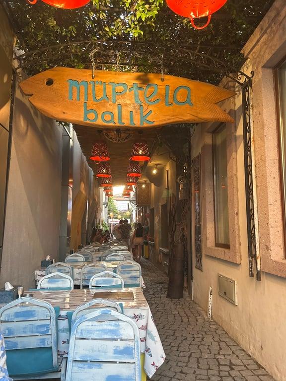 Müptela Balık fotoğraf 8