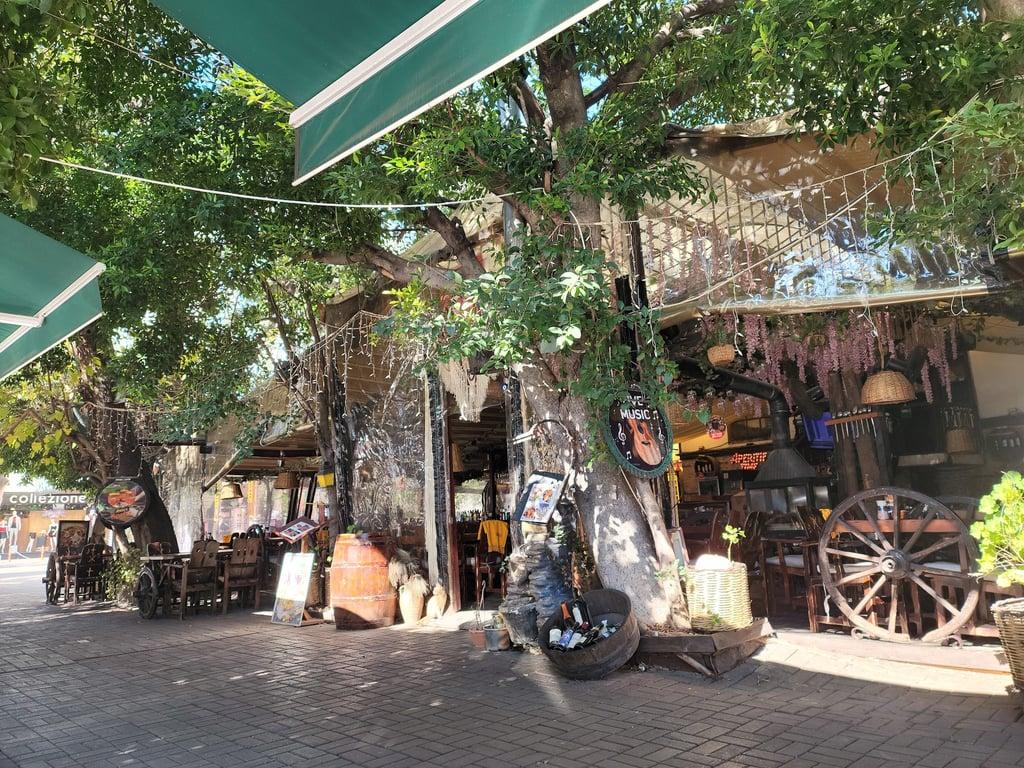 Ev Restaurant fotoğraf 9