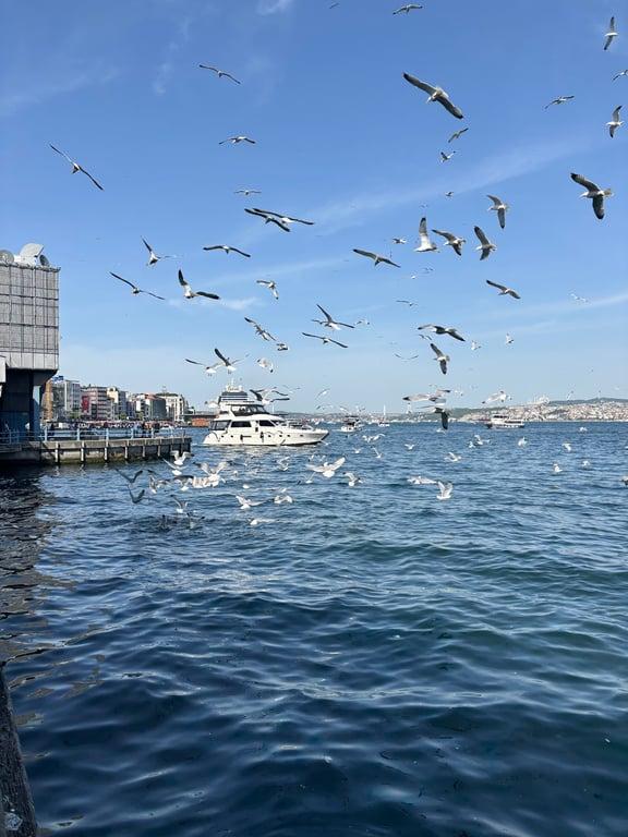 Yıldızlar Restaurant Galata Köprüsü fotoğraf 5