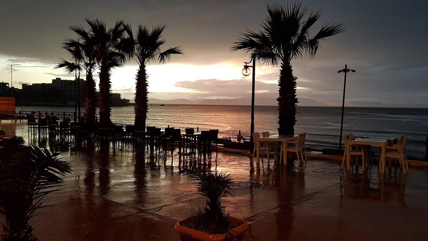 Palm Beach Cafe Restaurant-bar fotoğraf 3