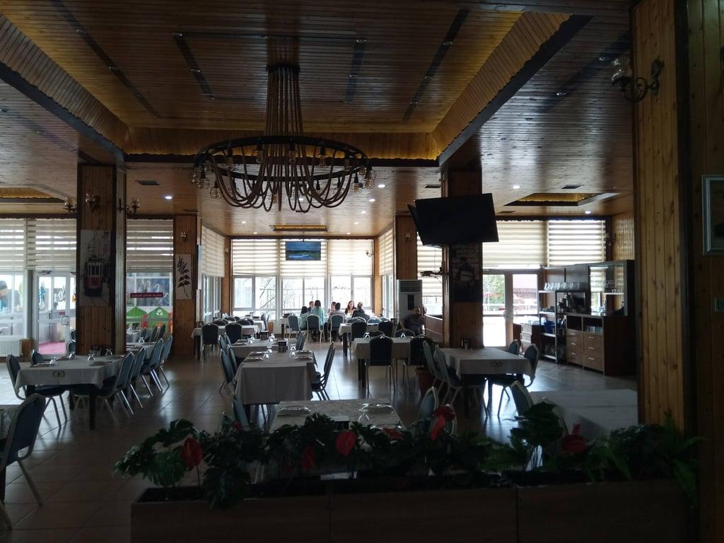 SAFARİ GARDEN fotoğraf 2