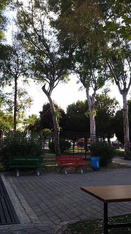 Park Kafe fotoğraf 18