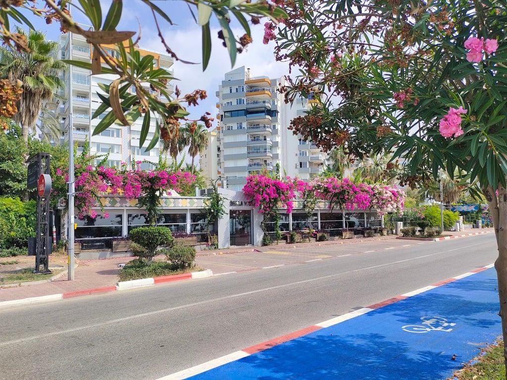 Bella Vita Restaurant fotoğraf 6