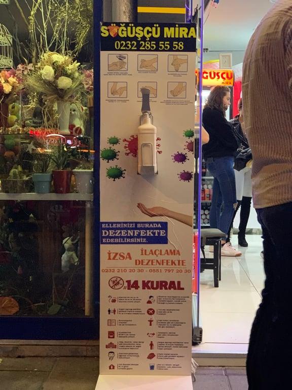 Söğüşçü Mira fotoğraf 2