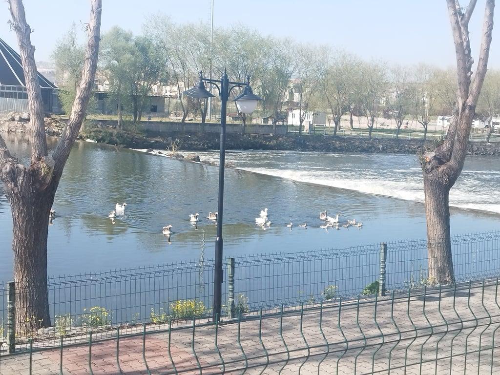 Ulaş Cafe fotoğraf 10
