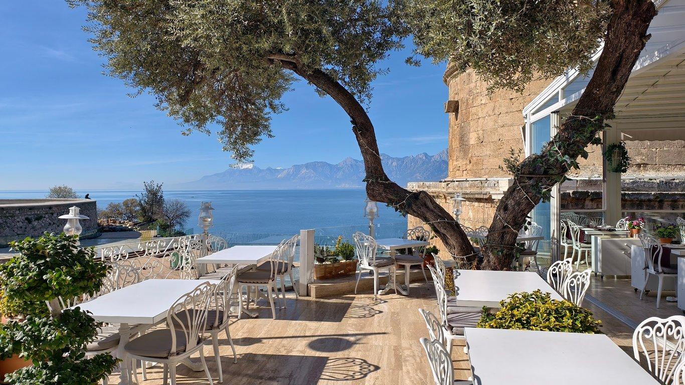 Sauvignon Restaurant fotoğraf 9