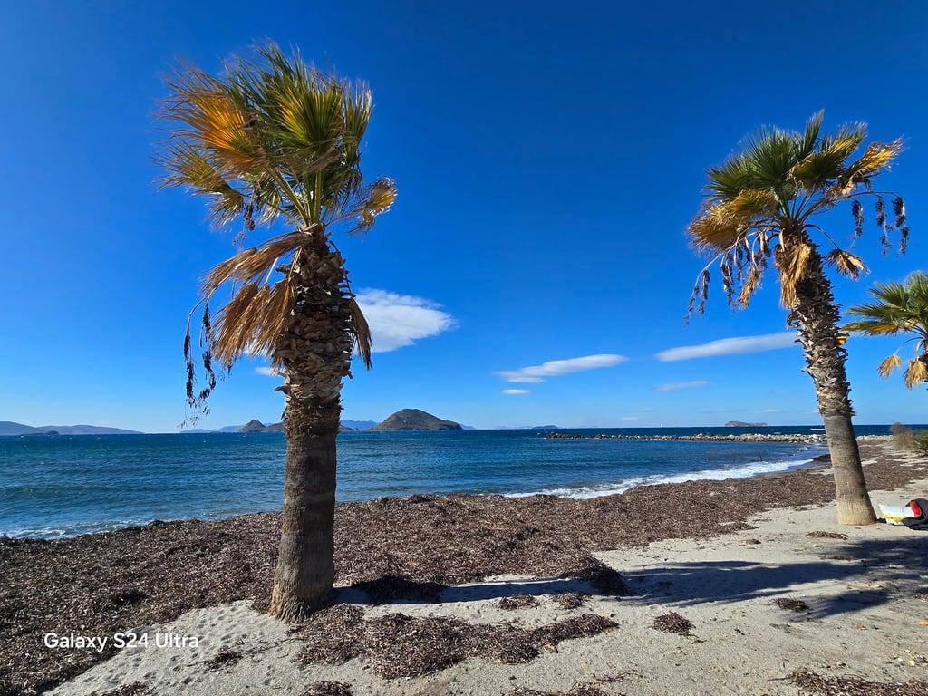 Turgutreis Amiral Cafe fotoğraf 3
