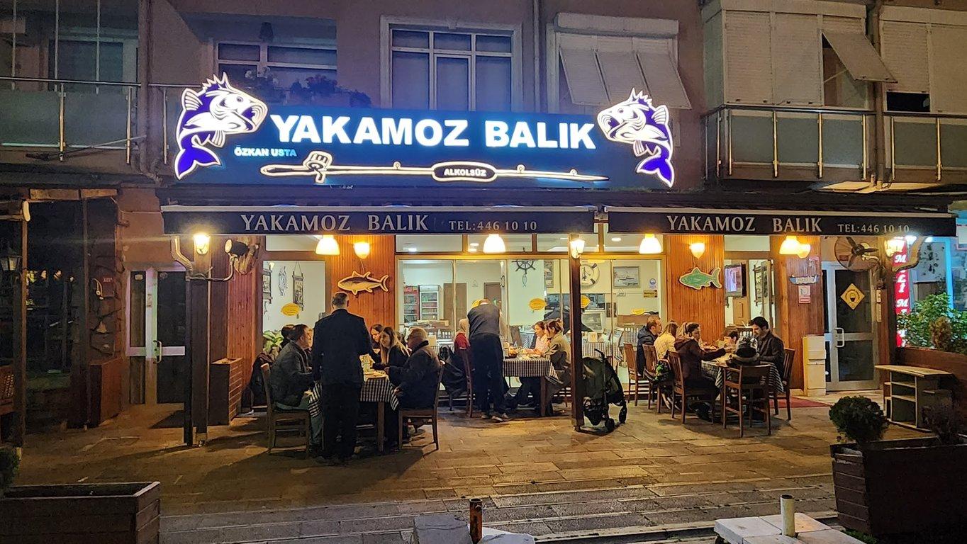 Tuzla Yakamoz Balık