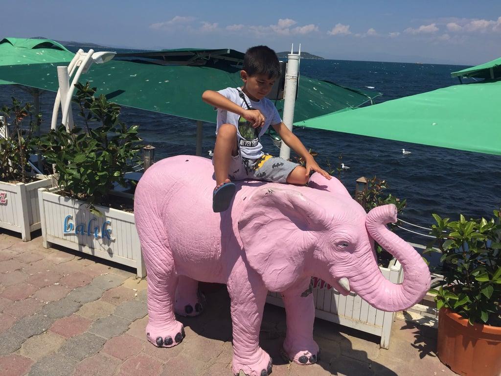 URLA YAKAMOZ Cafe Restoran fotoğraf 4