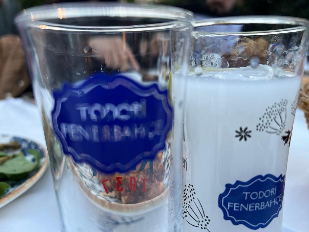 Todori Fenerbahçe fotoğraf 10