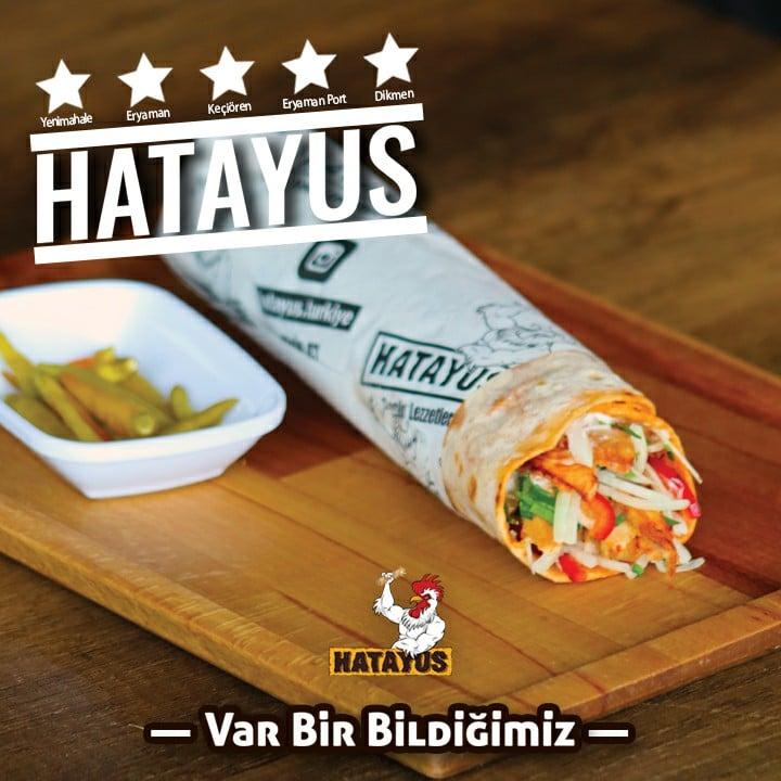 HATAYUS fotoğraf 7