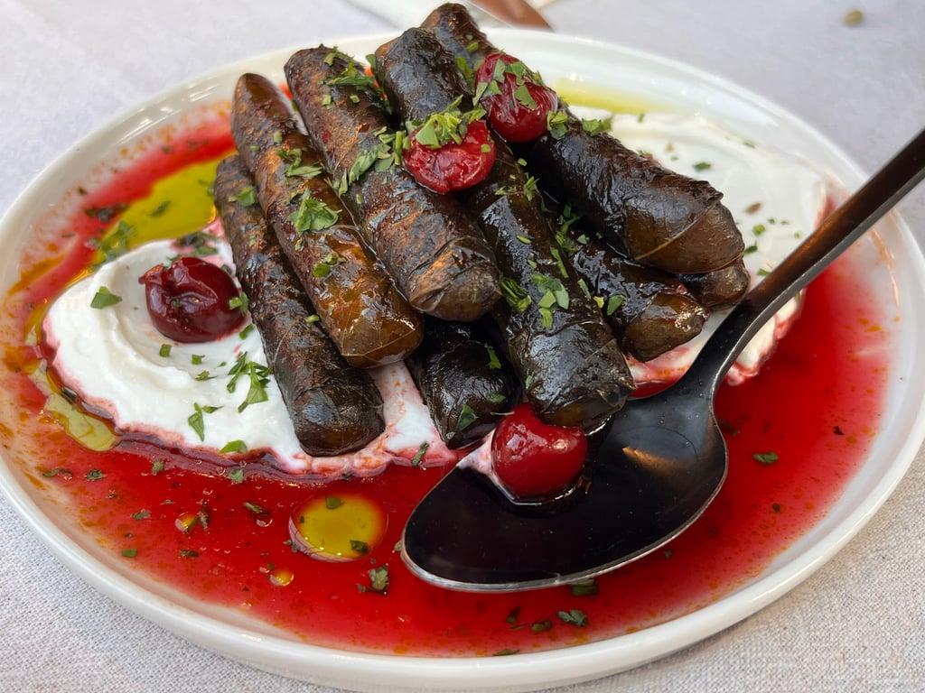Levan fotoğraf 22